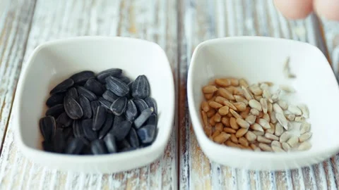 C1558 2 Stock Footage 304752004