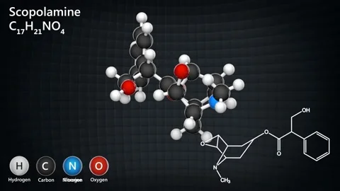 C17H21NO4 Scopolamine Stock Footage 146111442