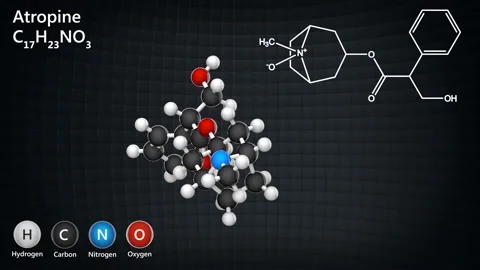 C17H23NO3 Atropine Stock Footage 146111395