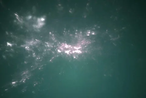 C2003E Stock Footage 344133