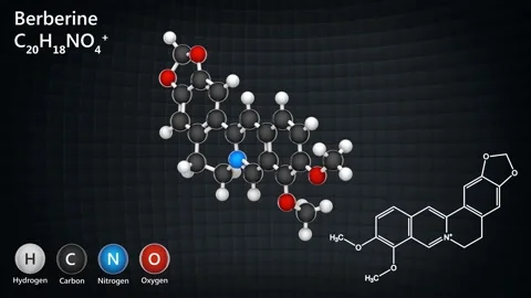 C20H18NO4 Berberine Video stock 146111401