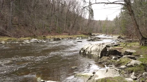 C2300 스톡 동영상 304172944