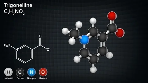 C7H7NO2 Trigonelline Stock Footage 146111440