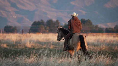 C9407slow Stock Footage 257352620