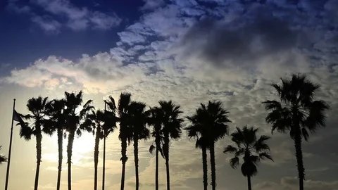 CA Beach 15 Stock Footage 78060712