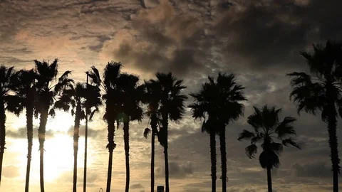 CA Beach 16 Stock Footage 78060714