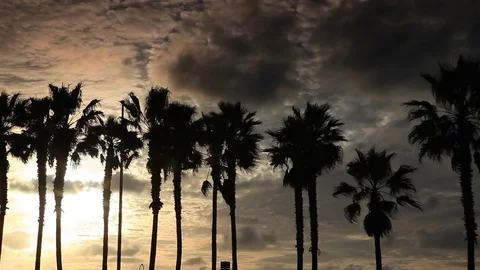 CA Beach 16 Time-lapse Stock Footage 78074245