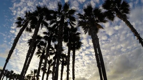 CA Beach 3 Stock Footage 78037949