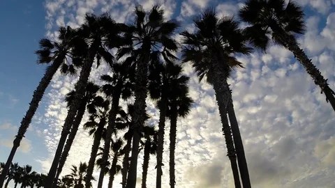 CA Beach 3 Time-lapse Stock Footage