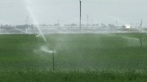 CA Central Sprinklers on Crops 1 Stock Footage 10736805