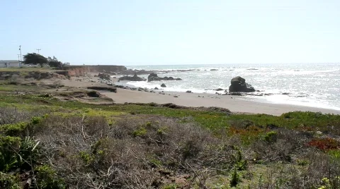 CA Shore Video stock 692178