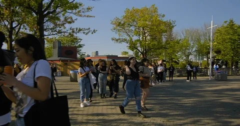 CA - Toronto - Concert 4 Stock Footage 115462269