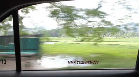 Cab drive through rice paddies Stock Footage 39977384