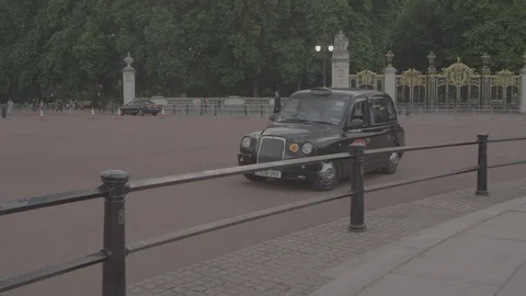 Cab in front of Buckingham Palace Stock Footage 91732566