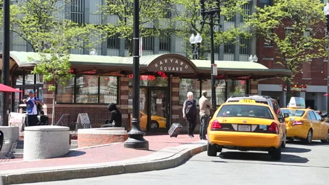 CAB STAND HARVARD SQUARE Video stock 178516949