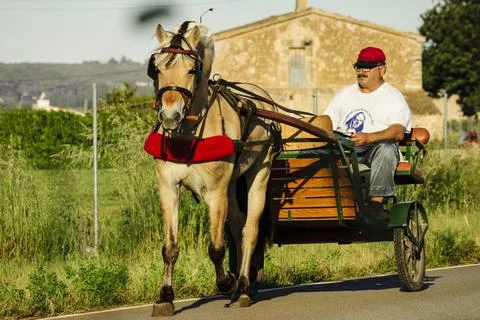 Caballo tirando de un carro, Pla de Sant Jordi,Palma, mallorca, islas baleare Stock Photos
