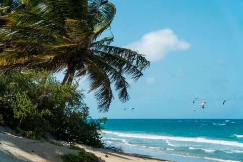 Cabarete beach Photos
