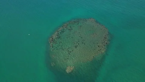 Cabarete clear sea corals 01 Vídeos de archivo 319502018