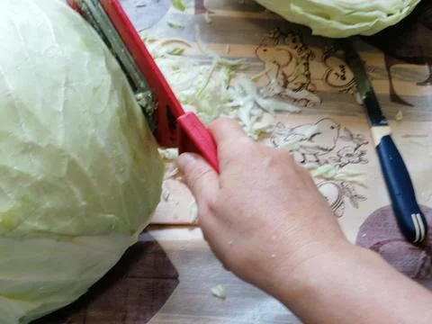 Cabbage 10 Stock Photos