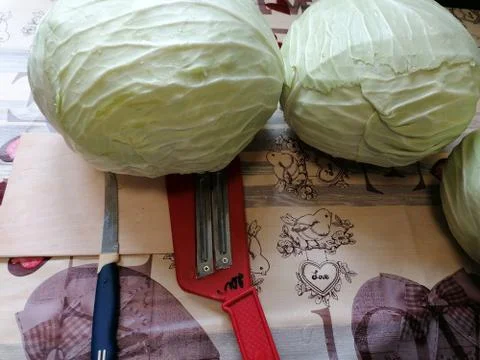 Cabbage 4 Stock Photos