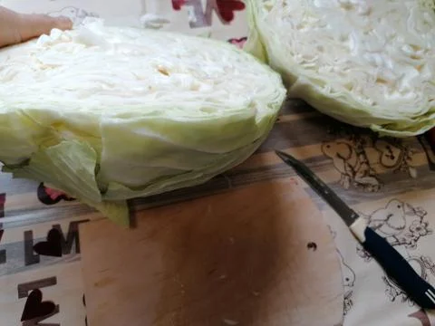 Cabbage 5 Stock Photos