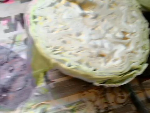 Cabbage 7 Stock Photos