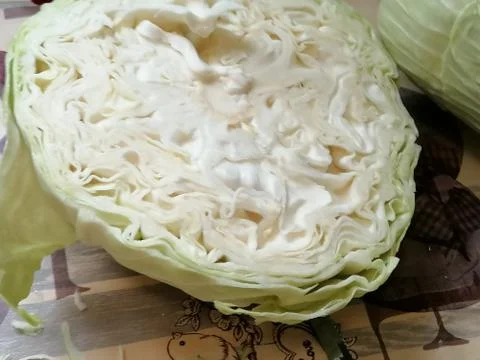 Cabbage 8 Stock Photos