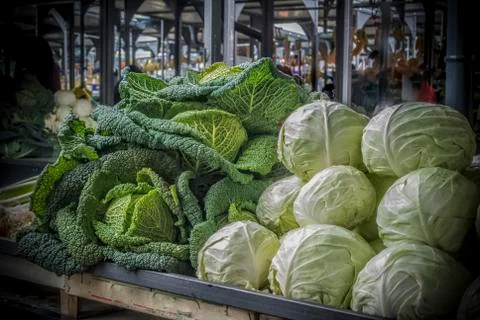Cabbage and Borecole Stock Photos