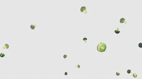 Cabbage and Broccoli Blast Stock-Footage 336006244