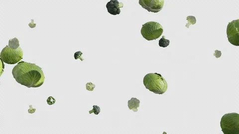 Cabbage and Broccoli Fall Stock-Footage 336006319