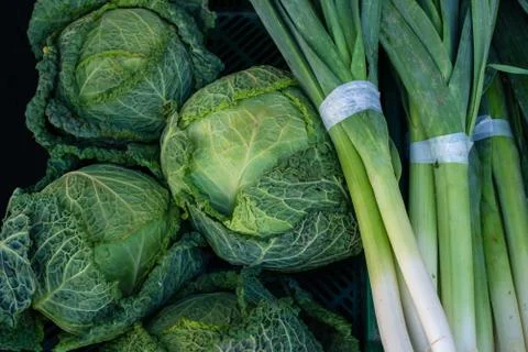 Cabbage and leeks photography Stock Photos