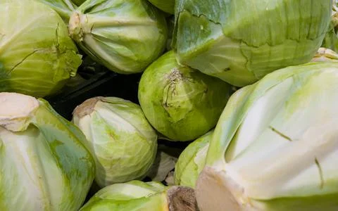 Cabbage background. Cabbage on the counter in the store. Vegetables for sale Stock Photos