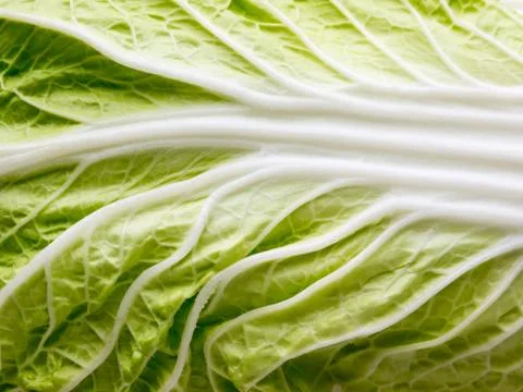 Cabbage background. Foto stock
