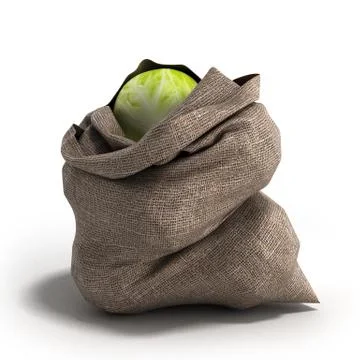 Cabbage bag 3d render on white backgrownd Stockillustratie