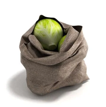 Cabbage bag 3d render on white backgrownd Stockillustratie