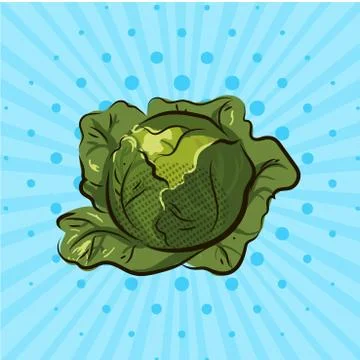 Cabbage on blue background, lines, dots. Hand drawn. Vector illustration.Eco Stock Illustration