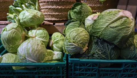 Cabbage in boxes exposed in supermarket Photos