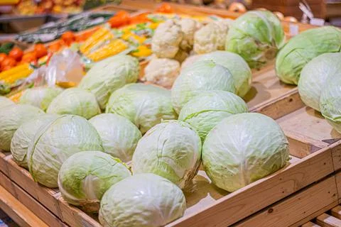 The cabbage in the boxes in the stores Stock Photos