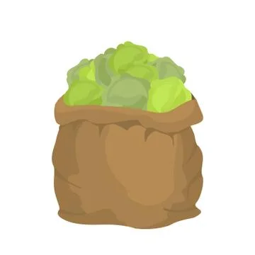 Cabbage Burlap bag. sack of vegetables. big crop on farm. sackful cabbage Stock Illustration