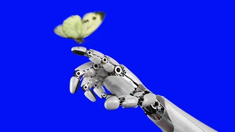 Cabbage Butterfly Lands on the Robot's Hand on a Blue Background Stock Footage 92083383