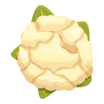 Cabbage cauliflower icon cartoon vector. Vegetable food Stock Illustration