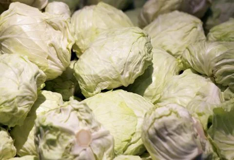 Cabbage  closeup Stock Photos