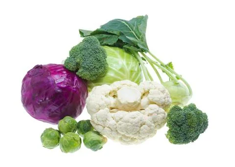 Cabbage collection Stock Photos