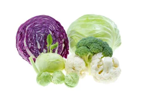 Cabbage collection Stock Photos