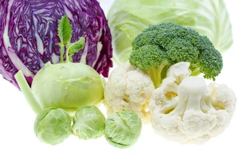 Cabbage collection Stock Photos