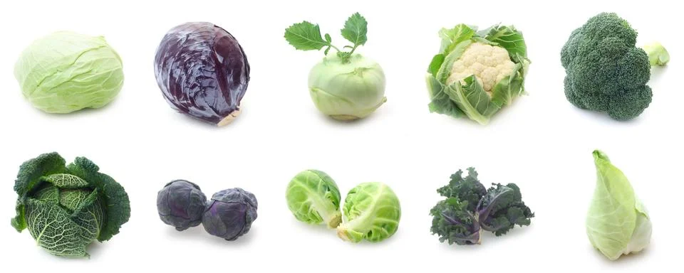 Cabbage Collection Stock Photos
