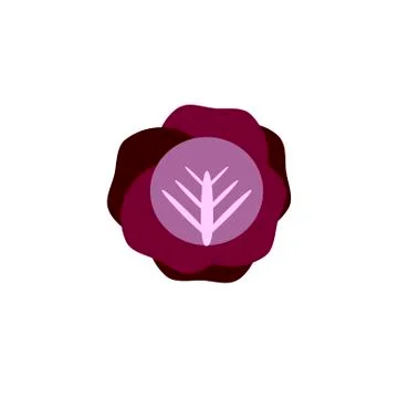 Cabbage color icon flat vector vegetable Stock Illustration