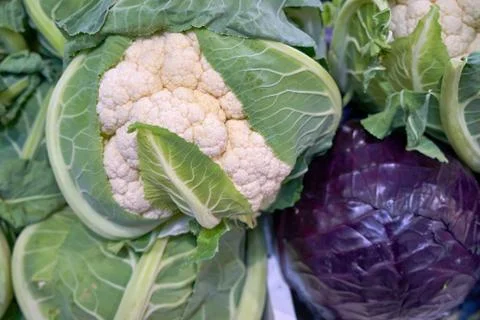 Cabbage on the counter of the store. Stock Photos
