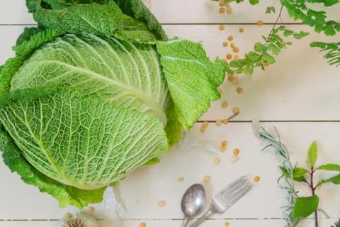 Cabbage on a cream background Stock Photos