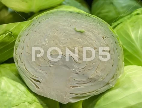 Cabbage on display at farmers market Stock Photos